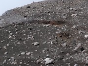 Dampf und Hitze aus Spaltensystem