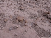 Schicht aus alter rötlicher Asche aus dem Nordostkrater