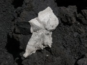 Weiße Sedimenteinschlüsse (Xenolithe)